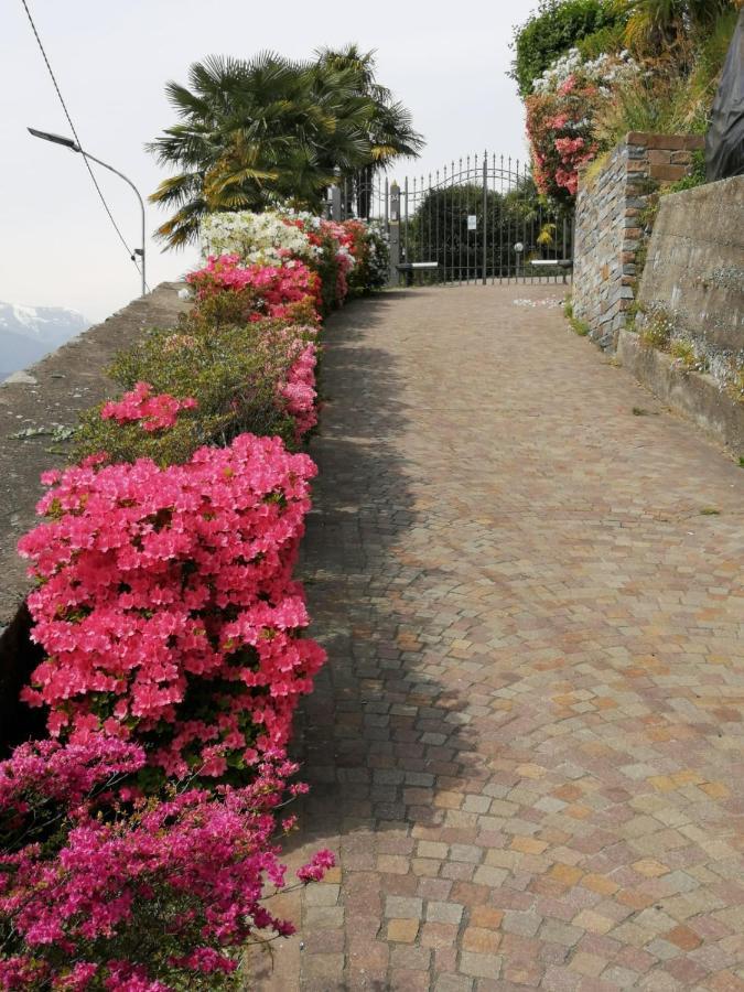 Villetta Primavera Вербания Екстериор снимка