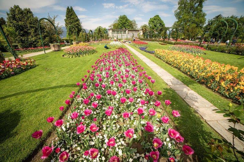 Villetta Primavera Вербания Екстериор снимка