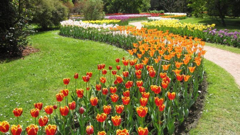 Villetta Primavera Вербания Екстериор снимка